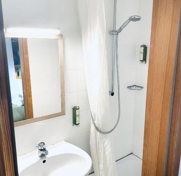 חדר יחיד בסיסי, & Restaurant Grüner Baum Merzhausen