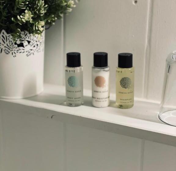 חדר יחיד בסיסי, & Restaurant Grüner Baum Merzhausen