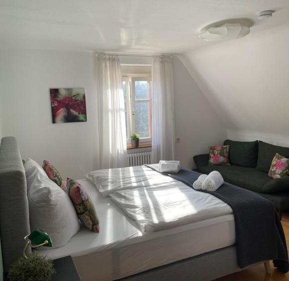 חדר סטנדרט, & Restaurant Grüner Baum Merzhausen