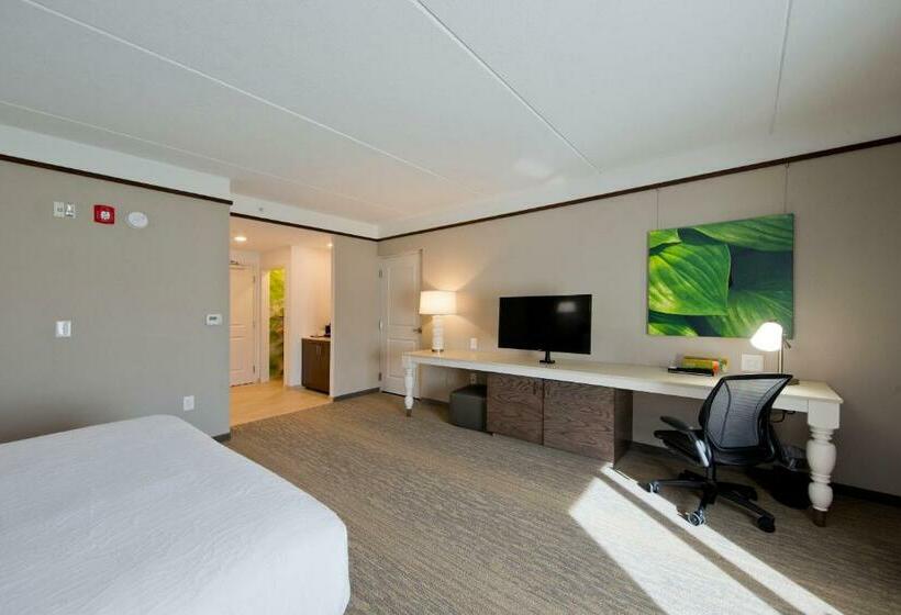 غرفة قياسية سرير كينج, Hilton Garden Inn Martinsburg