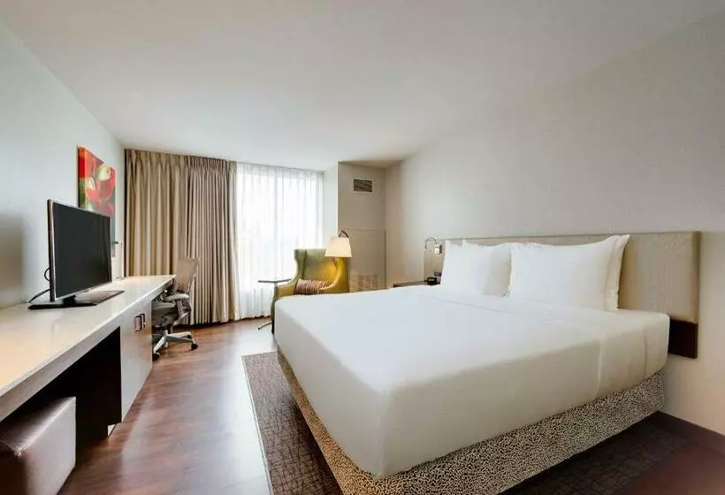 身障者適用キングサイズベッドルーム, Hilton Garden Inn North Houston Spring