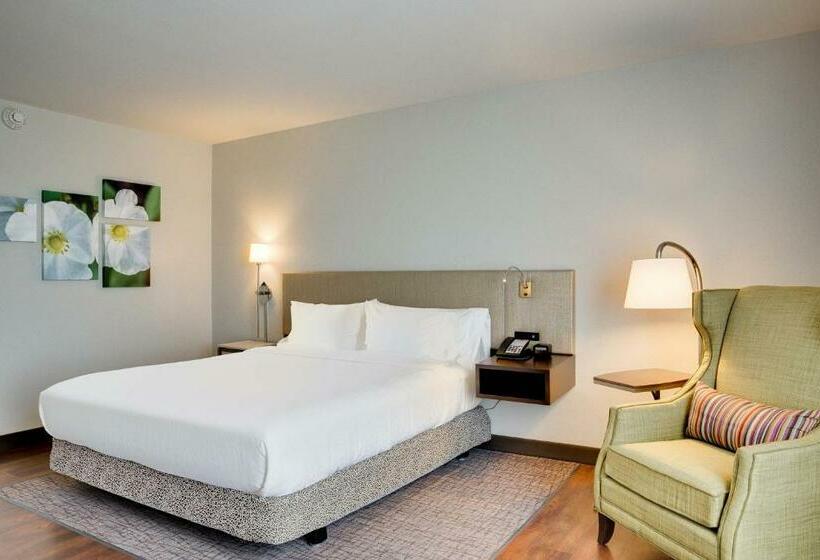 غرفة قياسية سرير كينج, Hilton Garden Inn North Houston Spring
