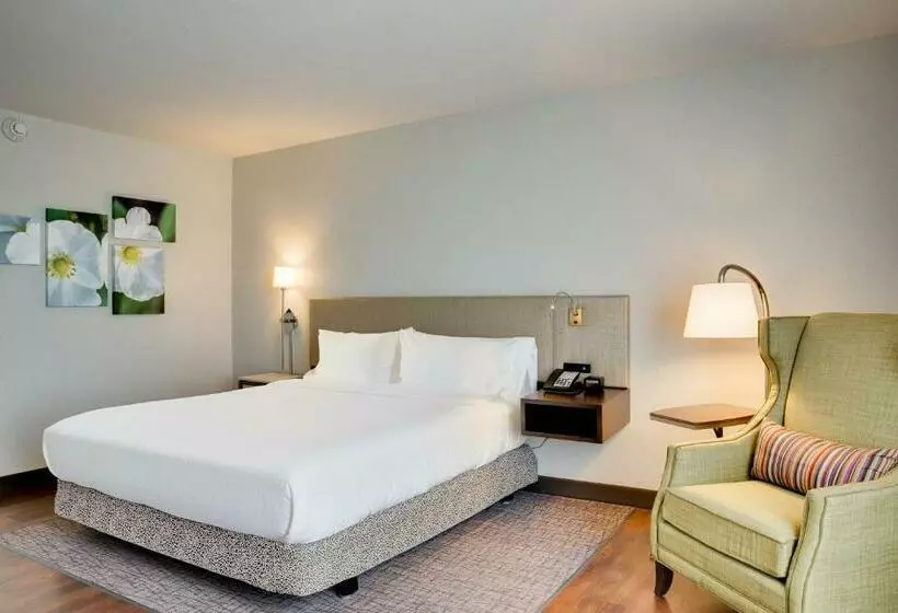 キングサイズベッドのスタンダードルーム, Hilton Garden Inn North Houston Spring