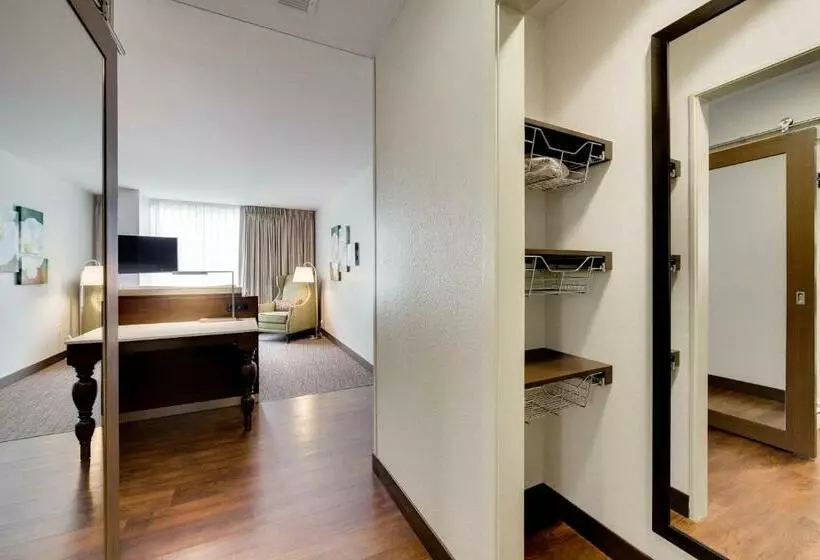 キングサイズベッドのスタンダードルーム, Hilton Garden Inn North Houston Spring