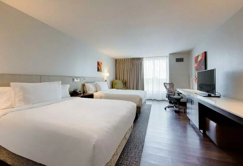 スタンダードルーム, Hilton Garden Inn North Houston Spring
