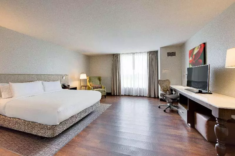 キングサイズベッドのスタンダードルーム, Hilton Garden Inn North Houston Spring