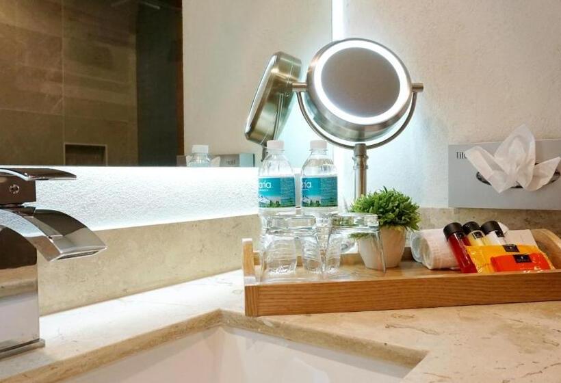 身障者適用スタンダードルーム, Hit Hoteles Aeropuerto Puebla