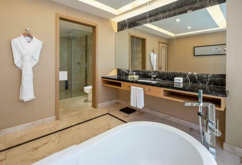 Номер Deluxe, Holiday Inn & Suites Hulunbuir