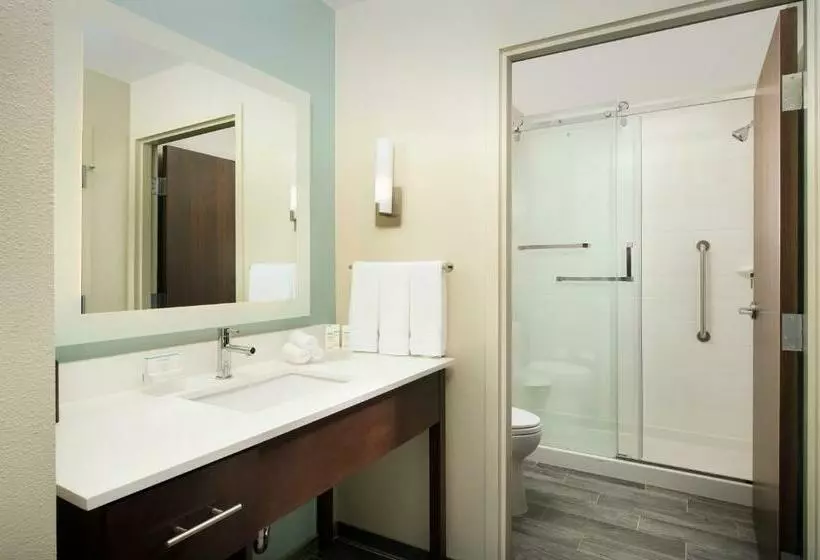 キングサイズベッドのスイートルーム, Homewood Suites By Hilton San Antonio Airport