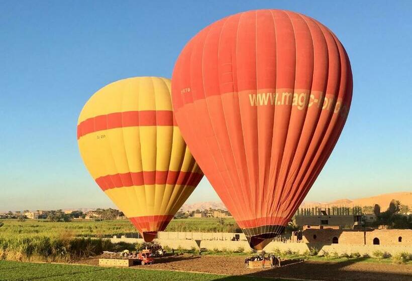 اتاق استاندارد یک نفره, New Memnon