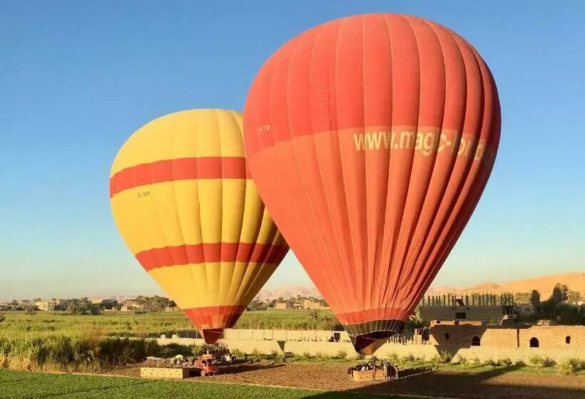 اتاق استاندارد, New Memnon