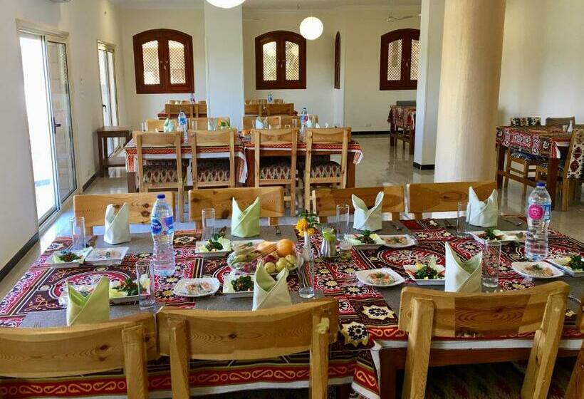 اتاق استاندارد یک نفره, New Memnon