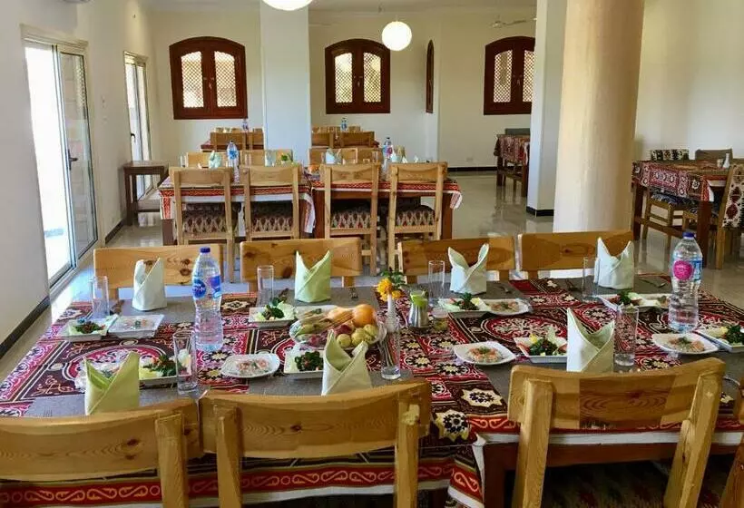 اتاق استاندارد یک نفره, New Memnon