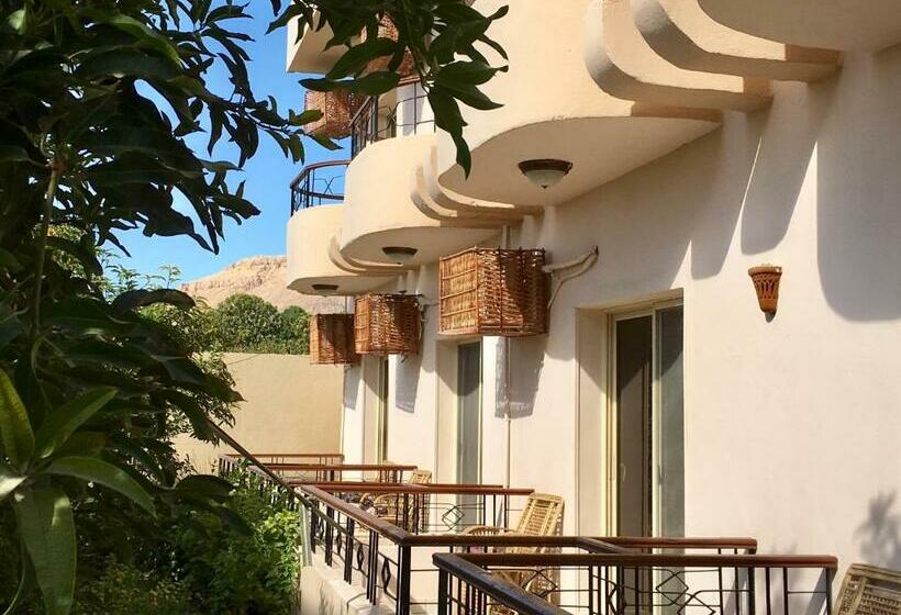 اتاق استاندارد یک نفره, New Memnon