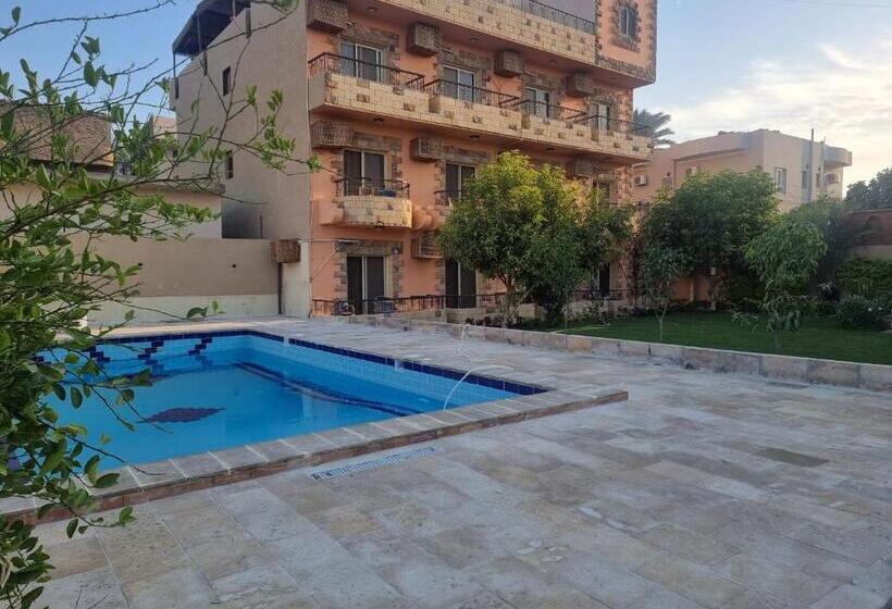 اتاق استاندارد یک نفره, New Memnon