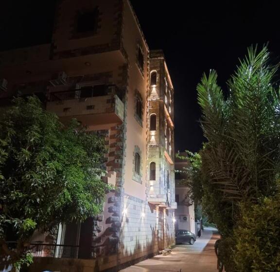 اتاق استاندارد یک نفره, New Memnon