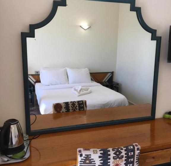 اتاق استاندارد, New Memnon