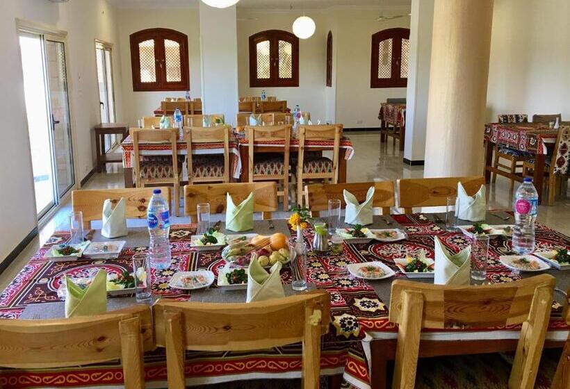 اتاق استاندارد, New Memnon