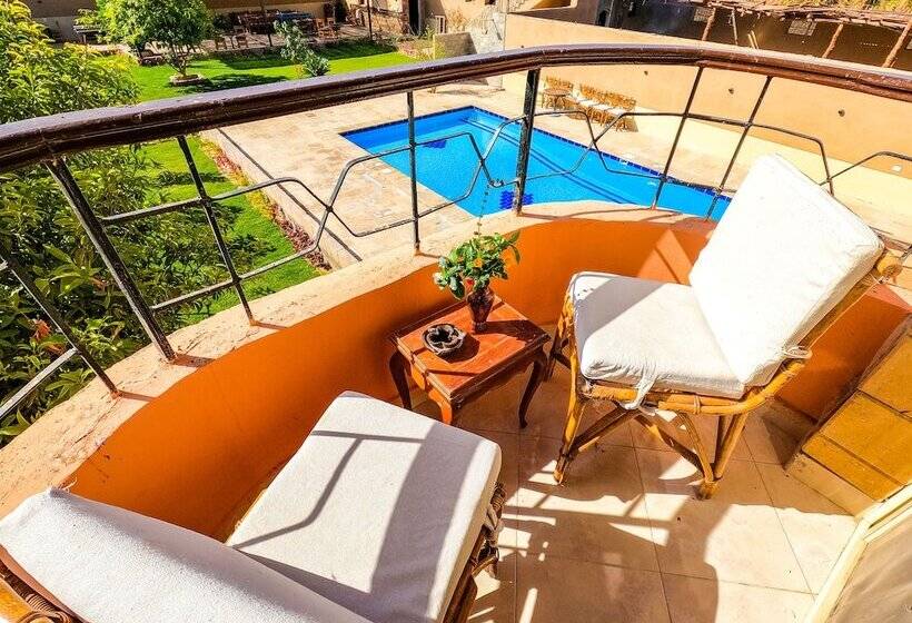 اتاق استاندارد, New Memnon