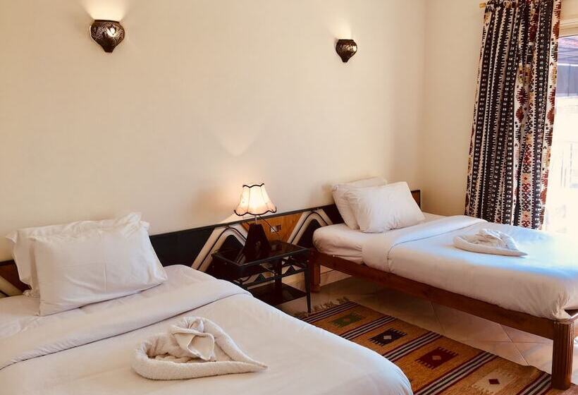 اتاق استاندارد, New Memnon