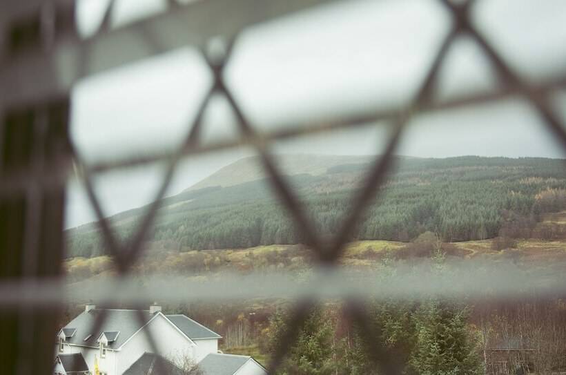 标准间, The Golden Larches