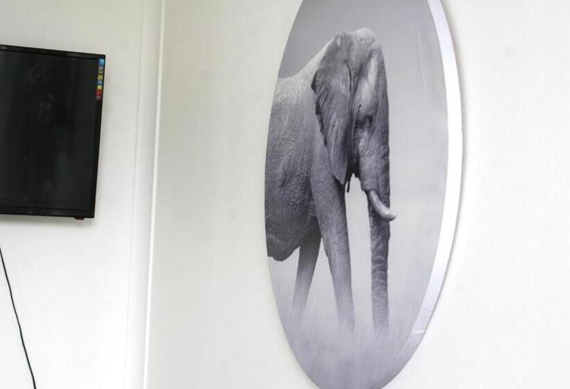 エコノミールーム, Lumsden