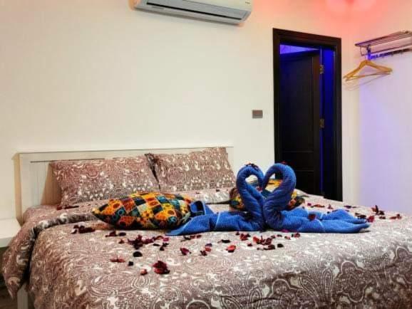 Deluxe Room Mountain View, Petra Desert Dream