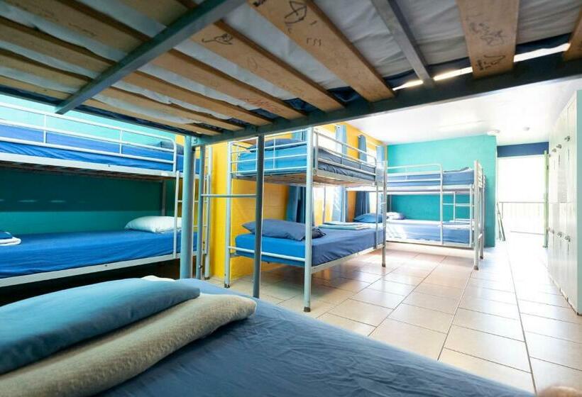 공동 객실, Beachside 1770 Yha