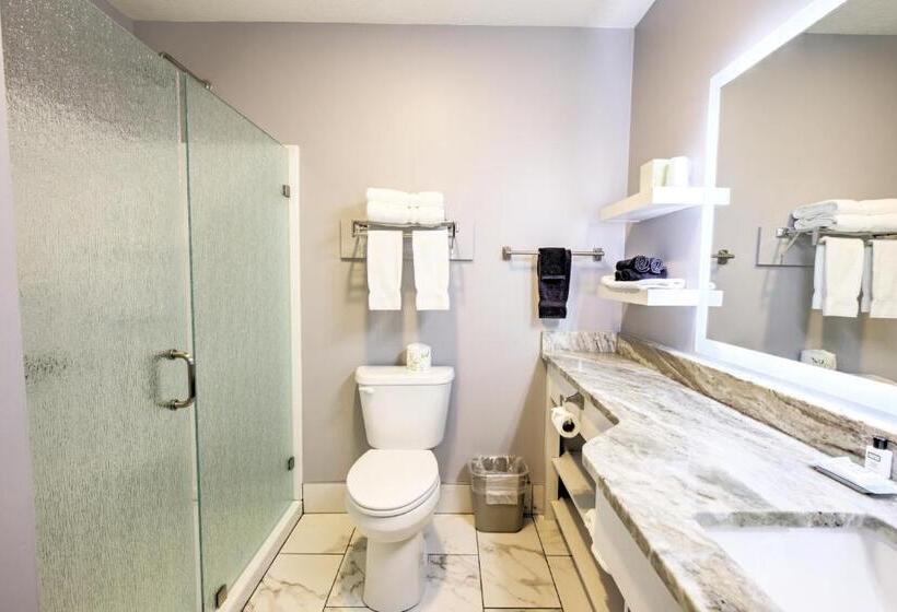 Стандартный Номер Кровать Кинг, Berlin Resort