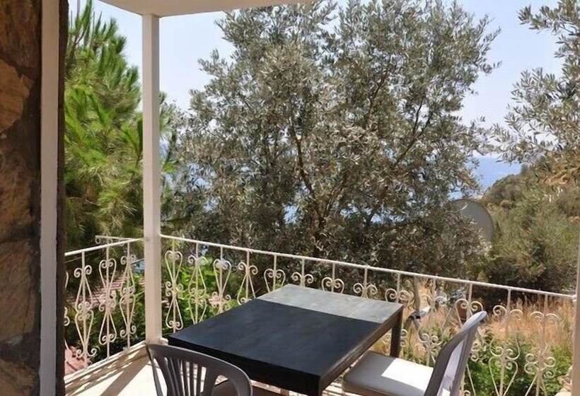 חדר סטנדרט נוף לים, Caretta