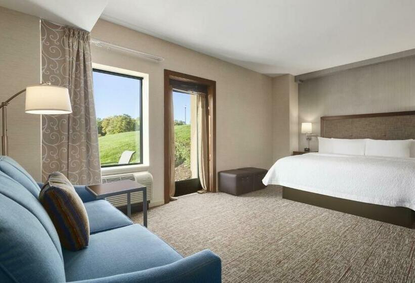 キングサイズベッドのスイートルーム, Hampton Inn Penn Yan