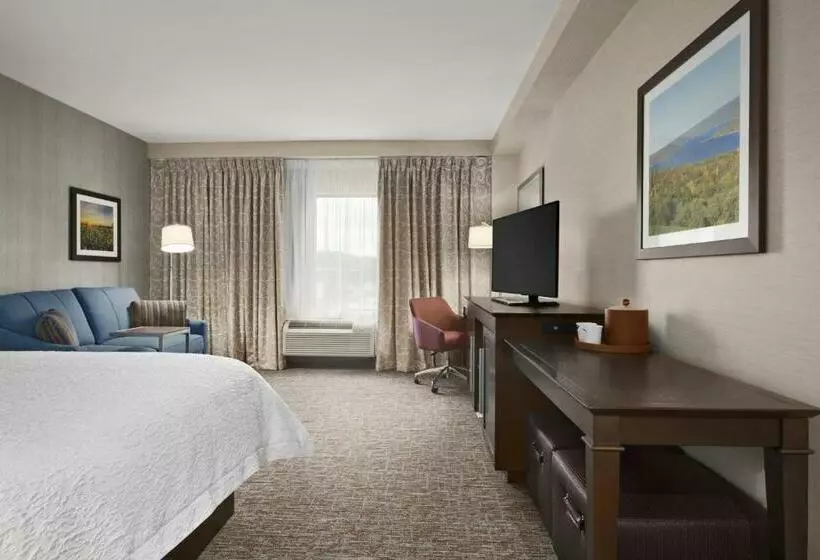 キングサイズベッドのエクゼクティブルーム, Hampton Inn Penn Yan