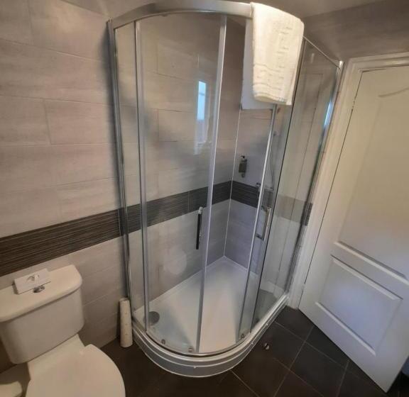 חדר סטנדרט לשלושה, Hen Dy