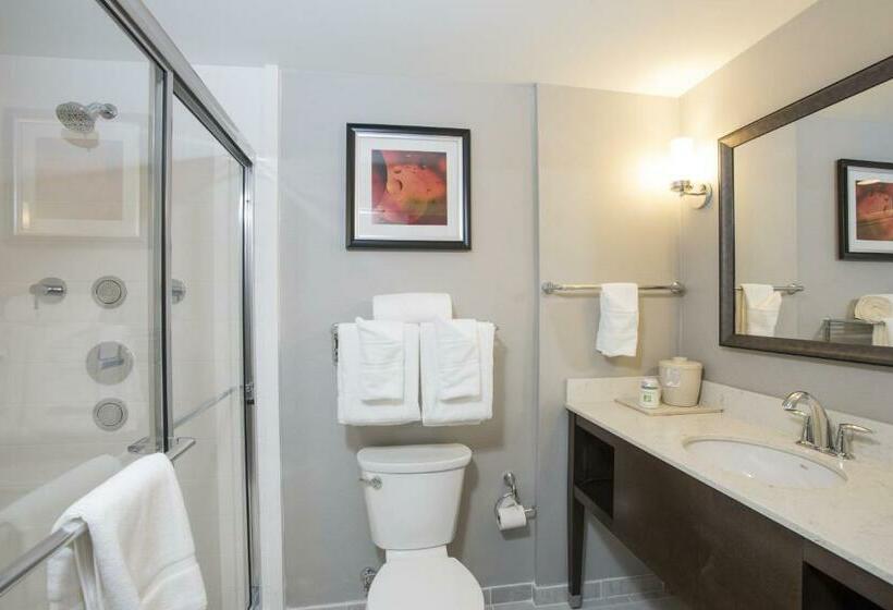 اتاق استاندارد با تخت بزرگ برای معلولان, Voco The Clair Cincinnati Downtown, An Ihg