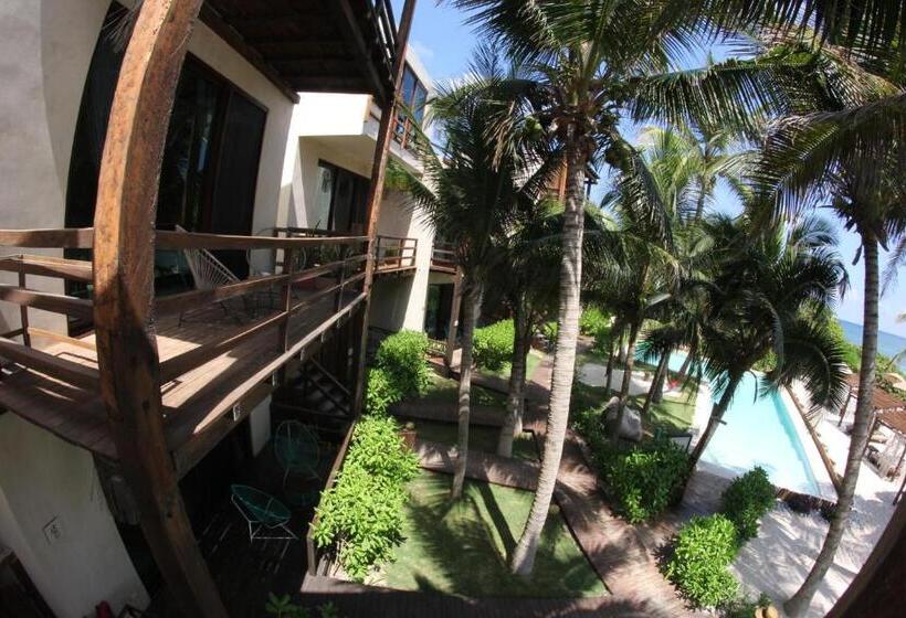 オーシャンビュースイート, Maria Del Mar Tulum   Adults Only