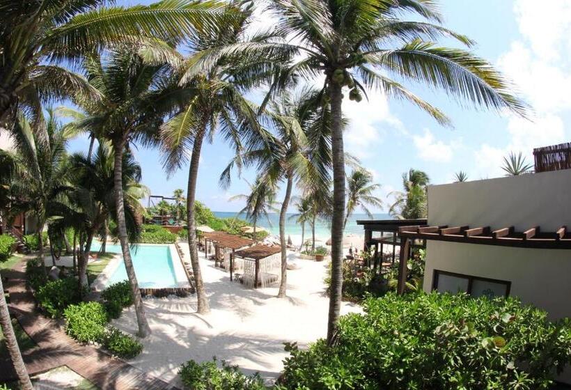 سوییت با چشمانداز دریا, Maria Del Mar Tulum   Adults Only