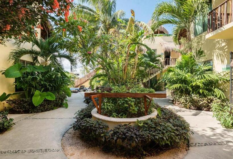 Monolocale Standard, Villas Akalan