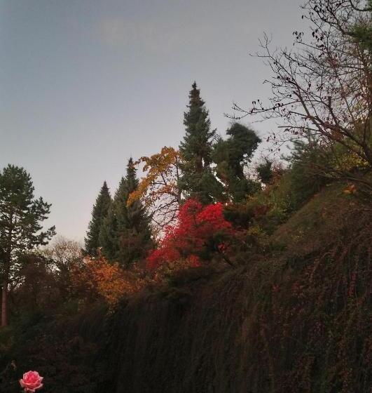 Pokój Standard, Käfernberg   Wein