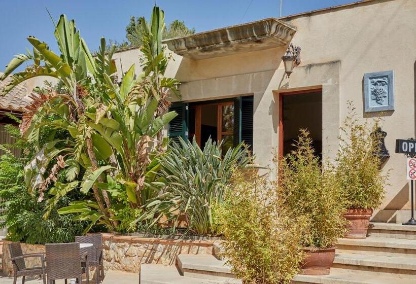 스탠다드 방갈로, Agroturismo Sa Vinya Des Convent