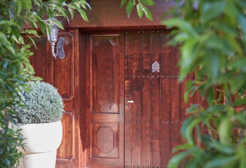 테라스 주니어 스위트, Agroturismo Sa Vinya Des Convent