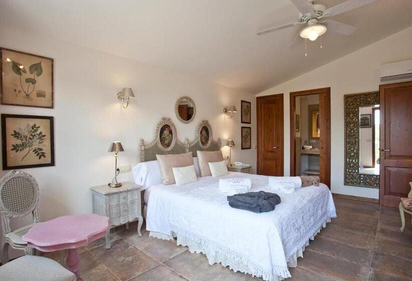Полулюкс Одноместный с Террасой, Agroturismo Sa Vinya Des Convent