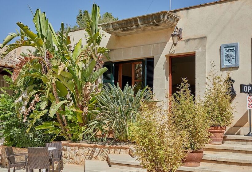 스탠다드 방갈로, Agroturismo Sa Vinya Des Convent