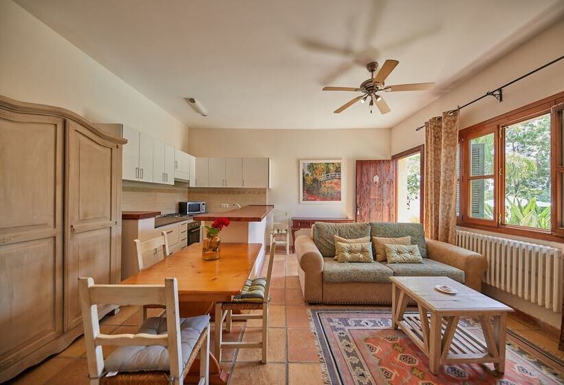 스탠다드 방갈로, Agroturismo Sa Vinya Des Convent