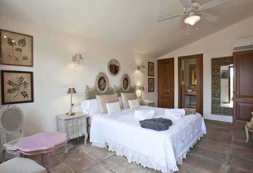 Полулюкс Одноместный с Террасой, Agroturismo Sa Vinya Des Convent