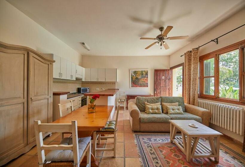 스탠다드 방갈로, Agroturismo Sa Vinya Des Convent