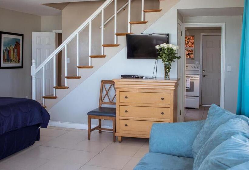 带海景的标准房, Riptide Oceanfront