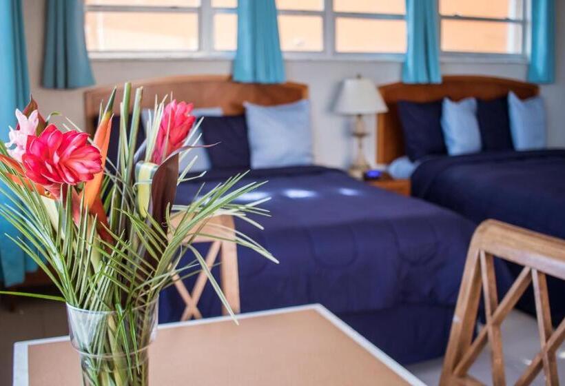 带海景的标准房, Riptide Oceanfront