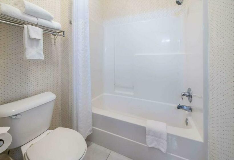 Номер Стандарт, Rodeway Inn Urbana Champaign University Area