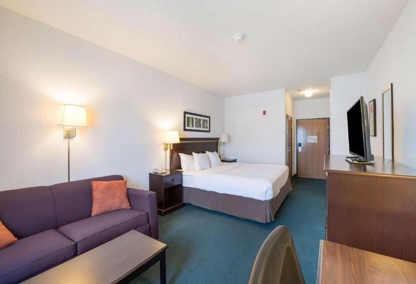 Стандартный Номер Кровать Кинг, Rodeway Inn Urbana Champaign University Area