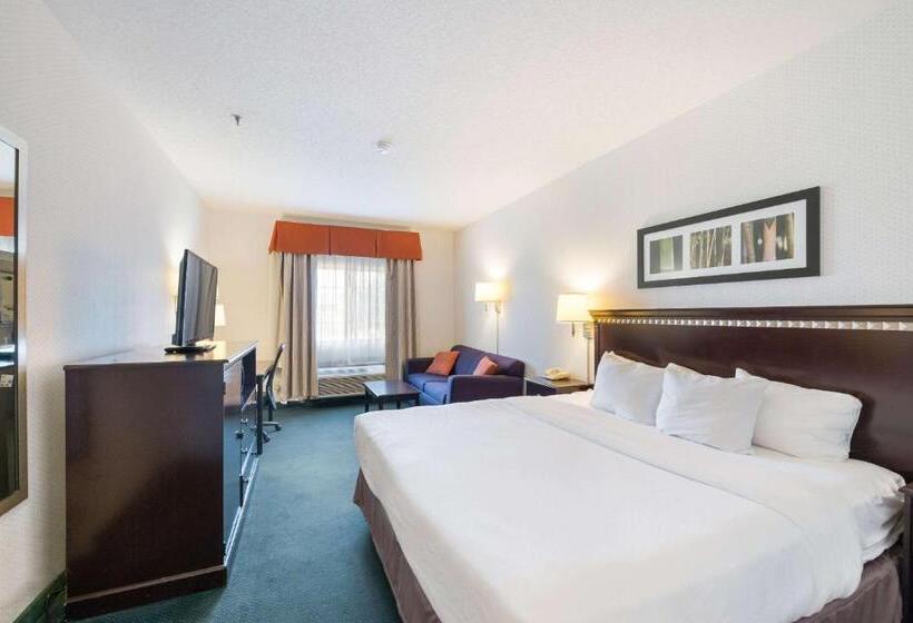 キングサイズベッドのスタンダードルーム, Rodeway Inn Urbana Champaign University Area